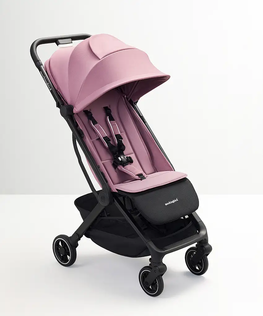 Mulberry-1
