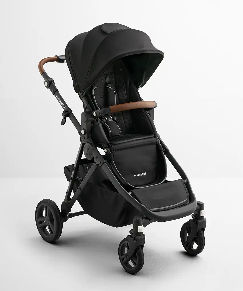 Single-to-Double Stroller 3.0