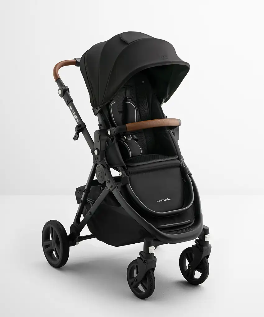 black_charcoalpenny_singlestroller-1