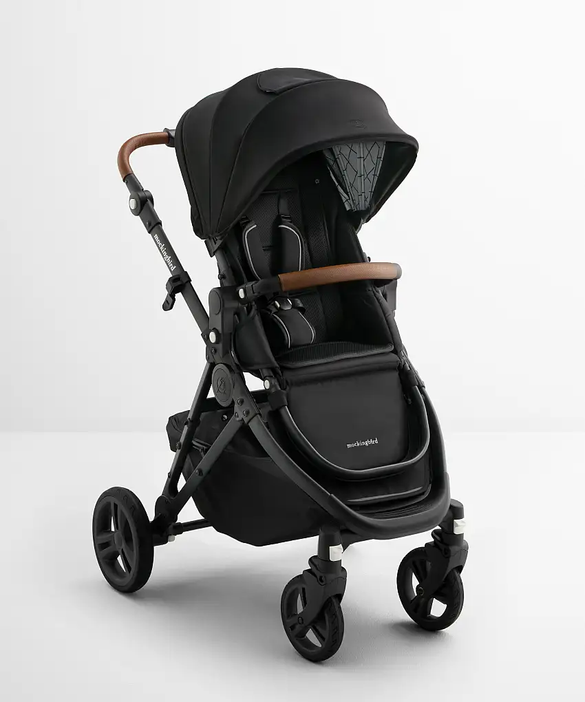 blackwindowpane_charcoalpenny_singlestroller-1