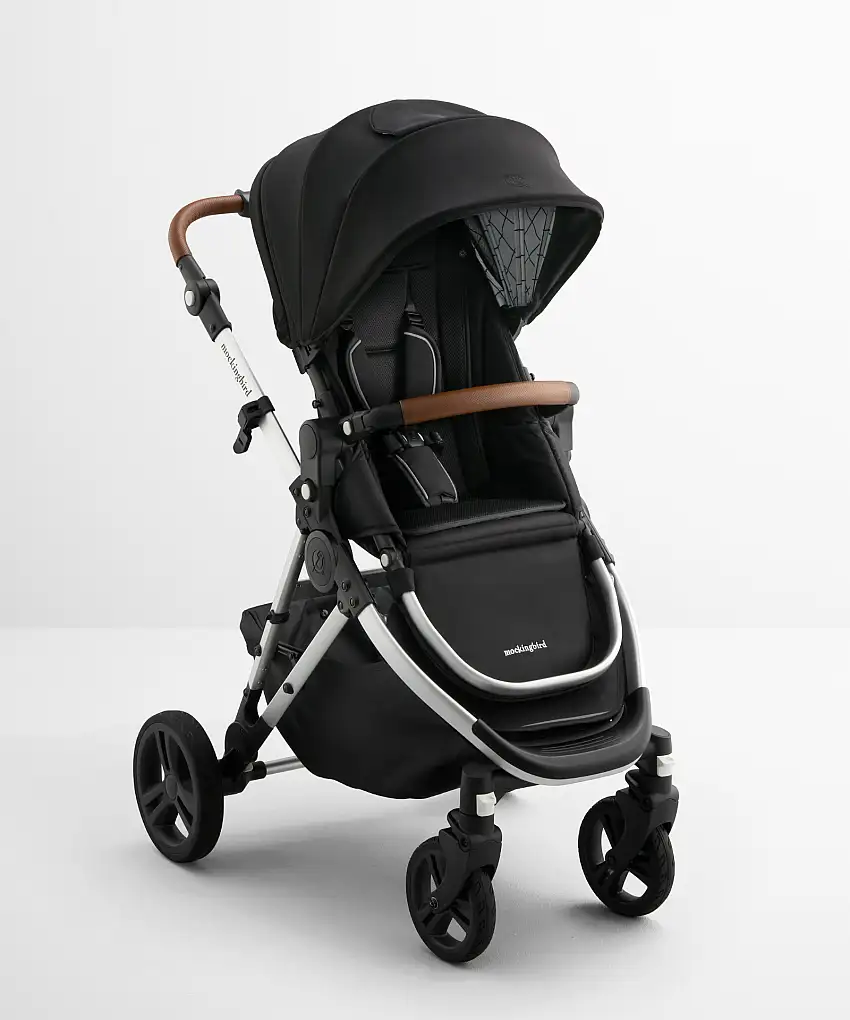 blackwindowpane_silverpenny_singlestroller-1