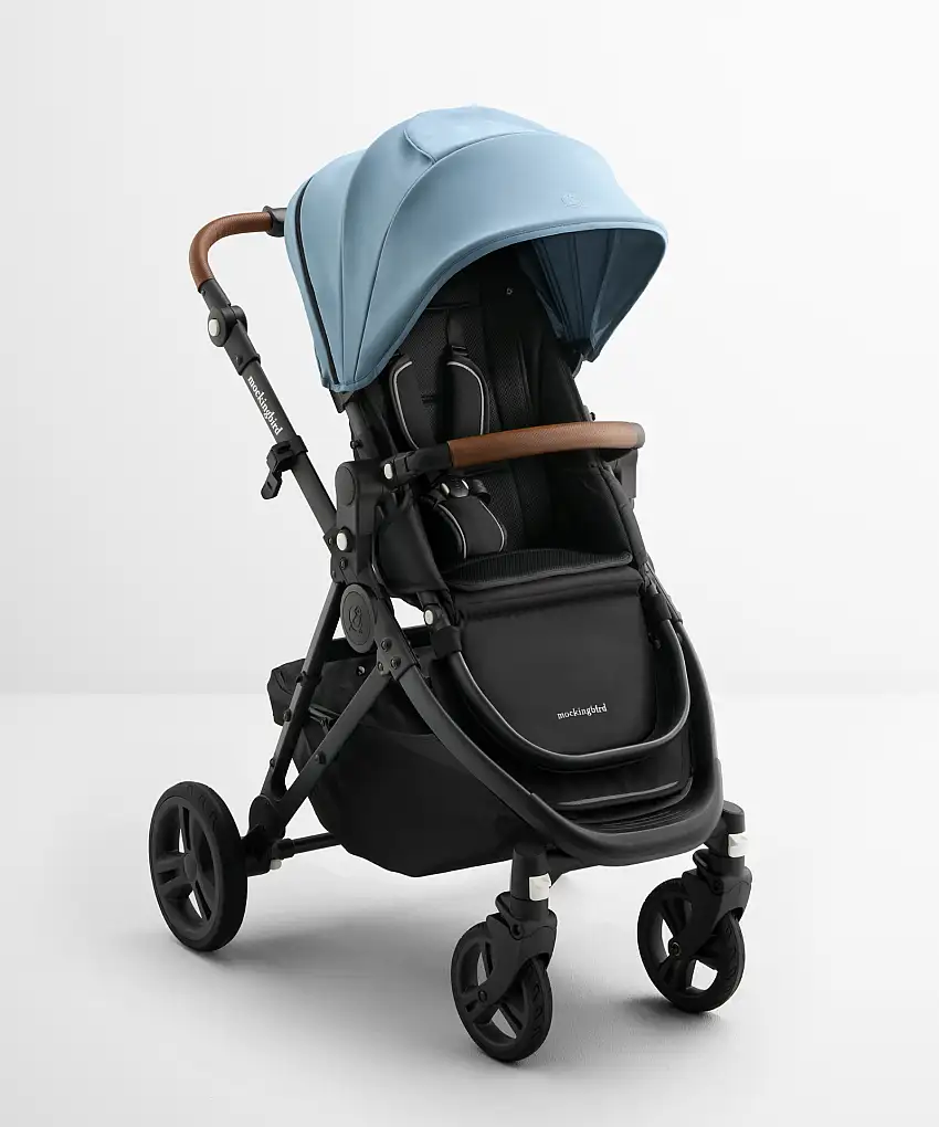 stoneblue_charcoalpenny_singlestroller-1